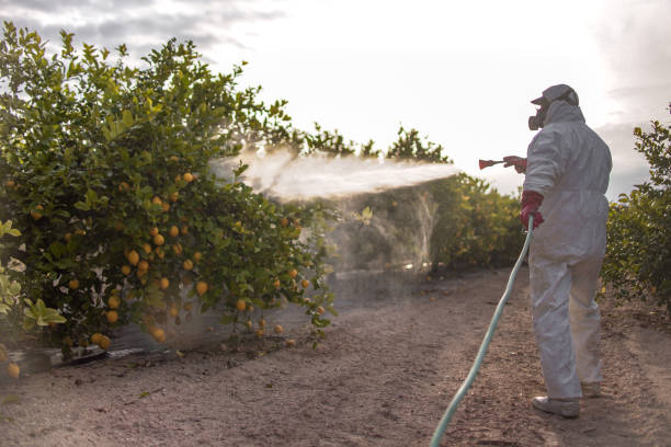 Best Mosquito Control Services  in Sparta, GA