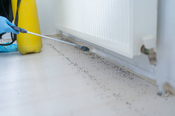 Best Pest Removal Services  in Sparta, GA