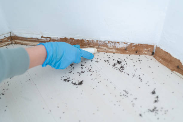 Best Ant Control Services  in Sparta, GA